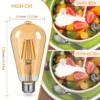 Edison Vintage LED Dimmable Bulbs